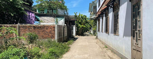 Cần bán đất huyện Phú Vang tỉnh Thừa Thiên Huế giá 1 tỷ-02