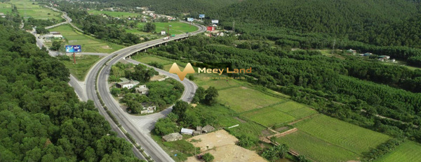 Cần tiền xoay sở bán mảnh đất, 1324 m2 giá bán tốt từ 6.8 tỷ vị trí mặt tiền ngay trên Đường Quốc Lộ 1A, Tỉnh Nghệ An khu vực tiềm năng-02