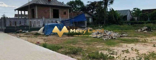 Bán mảnh đất 100m2 tại Thuận Hóa, Thừa Thiên Huế gặp để trao đổi-02
