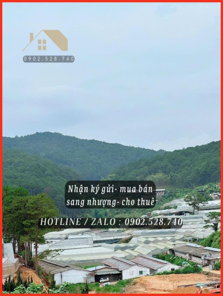 Bán căn hộ dịch vụ - homestay thành phố Đà Lạt tỉnh Lâm Đồng giá 19.0 tỷ-6