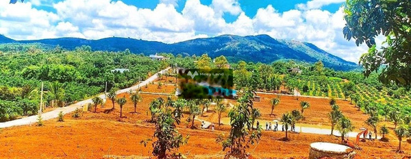 Bán đất giá 770 triệu, diện tích 167m2 vị trí đặt ngay tại Lộc Đức, Lâm Đồng-03