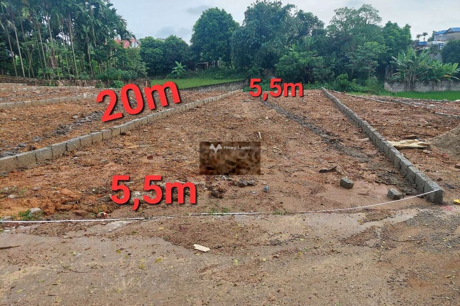 Bán mảnh đất giá 430 triệu, diện tích 105m2 tại Vó Ngựa, Lương Sơn-01