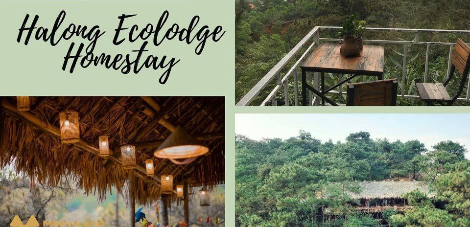 Cho thuê Halong Ecolodge Homestay