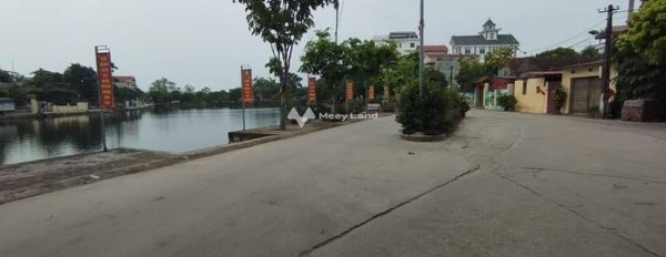 Bán đất 2.14 tỷ Võng Xuyên, Hà Nội Có tổng diện tích 75m2, lộ đi ngang 9 mét-03