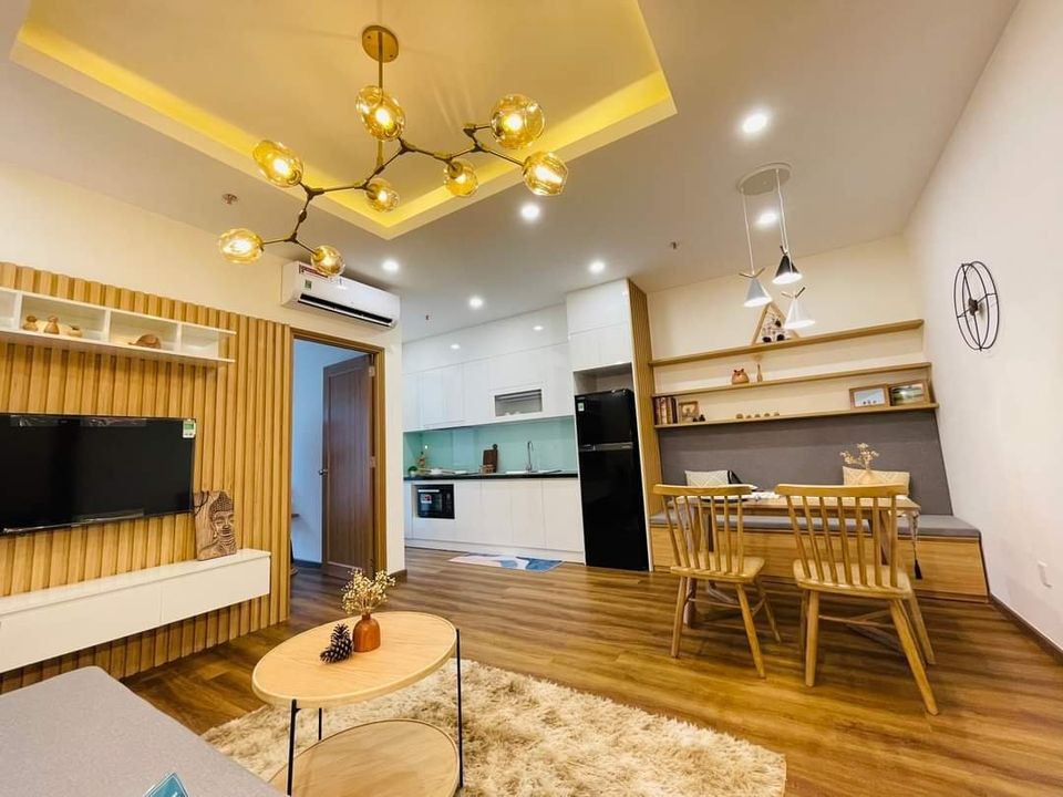 Bán căn hộ chung cư quận Hải Châu thành phố Đà Nẵng giá 220.0 triệu-9
