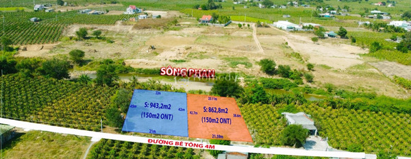 Bán đất 1.36 tỷ Đường 712, Hàm Thuận Nam có diện tích thực là 943m2-02