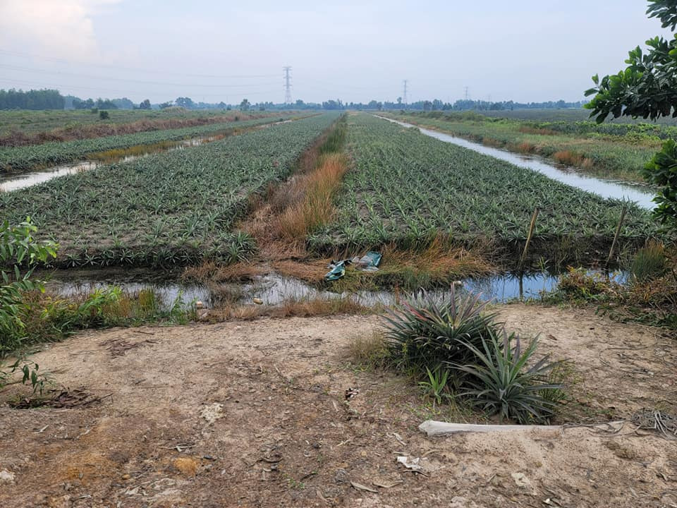 Bán đất quận Bình Tân thành phố Hồ Chí Minh giá 175.1 triệu-1