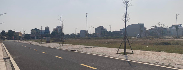 Cơ hội đầu tư đất vị trí siêu đẹp trung tâm thành phố Hưng Yên đối diện dự án Vinhomes Hưng Yên, đại học FPT-02