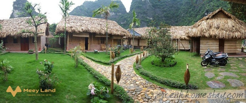 Cho thuê Quốc Khánh Bamboo Homestay