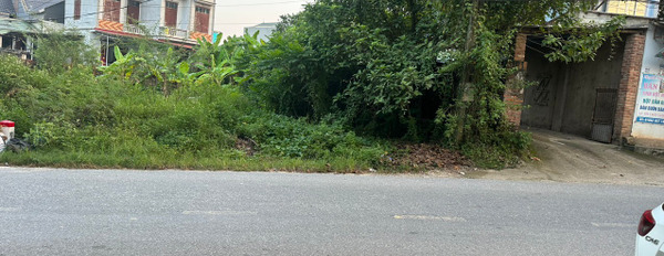 Bán đất đường 310 tại Kim Long, Tam Dương, Vĩnh Phúc. Giá 1,4 tỷ-03