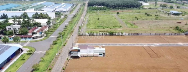Giá đặc biệt chỉ 650 triệu bán đất diện tích chuẩn 100m2 vị trí đặt ngay ở Trảng Bom, Đồng Nai-02