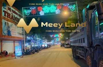 Vị trí tốt ở Đường Quốc Lộ 1A, Huyện Lạng Giang bán đất có một dt là 75 m2-03