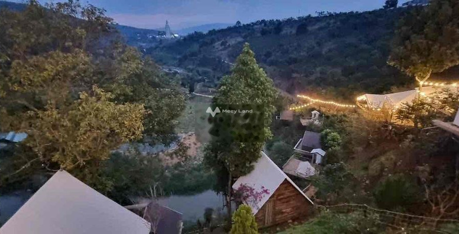 Vị trí đặt ngay ở Nam Ban, Lâm Đồng bán đất giá bán siêu rẻ từ 12.5 tỷ có diện tích 4600m2-01