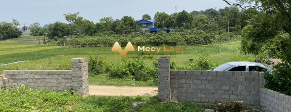 Chính chủ bán lô đất tại Sấu Hạ, Thanh Cao, Lương Sơn, Hoà Bình-03