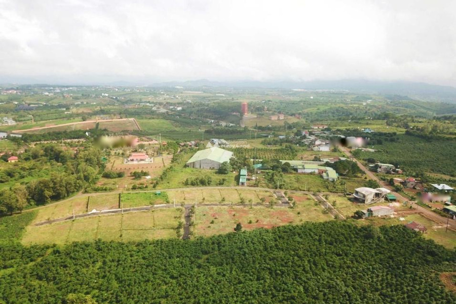 Mặt tiền tọa lạc ngay tại Lý Thái Tổ, Bảo Lộc bán đất, giá bán liền chỉ 3.26 tỷ diện tích thực 435m2-01