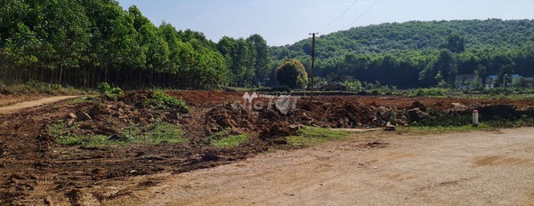 Nông Cống, Thanh Hóa bán đất giá bán rẻ bất ngờ chỉ 0.39 triệu diện tích thực 115m2-02