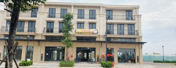 Shophouse tân cổ điển view kênh đào giá 6.9 tỷ -02