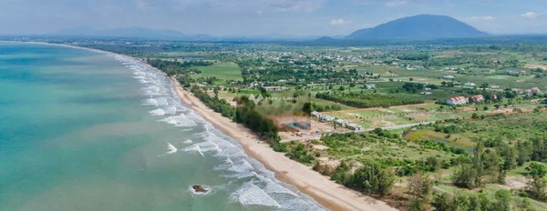 Tuy Phong, Bình Thuận bán đất giá cơ bản 739 triệu có diện tích thực 119m2-03