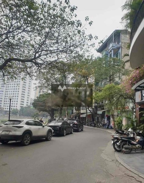 Bán nhà bán ngay với giá khủng chỉ 18 tỷ có diện tích gồm 40m2 vị trí thuận lợi tọa lạc ngay tại Ngọc Khánh, Ba Đình-01