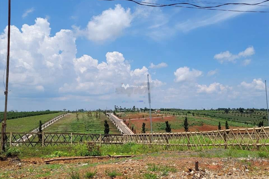 Lý Thái Tổ, Bảo Lộc 600 triệu bán đất có một diện tích là 100m2-01