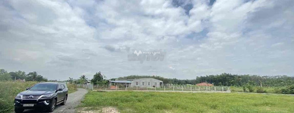 290 triệu bán đất toàn bộ khu vực có diện tích 136m2 vị trí tốt ở Tân Biên, Tây Ninh-02