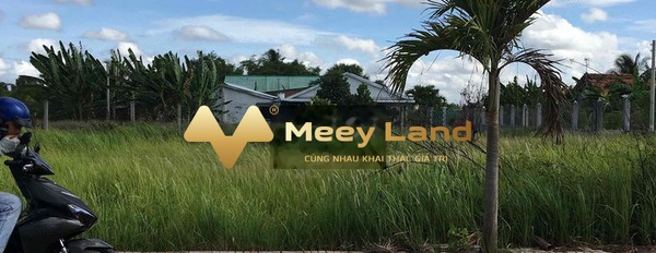 Gia đình khó khăn bán mảnh đất, 92m2 giá bán liền từ 1.25 tỷ mặt tiền tọa lạc ngay tại Phước Lý, Cần Giuộc pháp lý nhanh-02