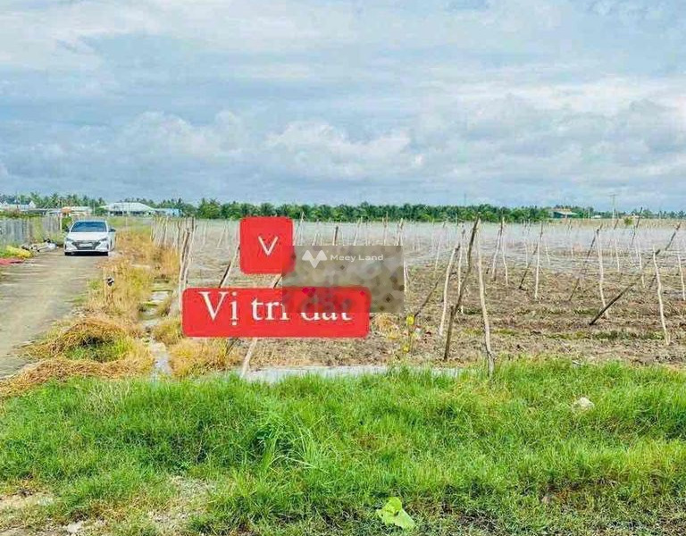 Bán đất diện tích thực khoảng 168m2 vị trí đẹp tọa lạc ngay tại Huỳnh Văn Đảnh, Tân Trụ-01