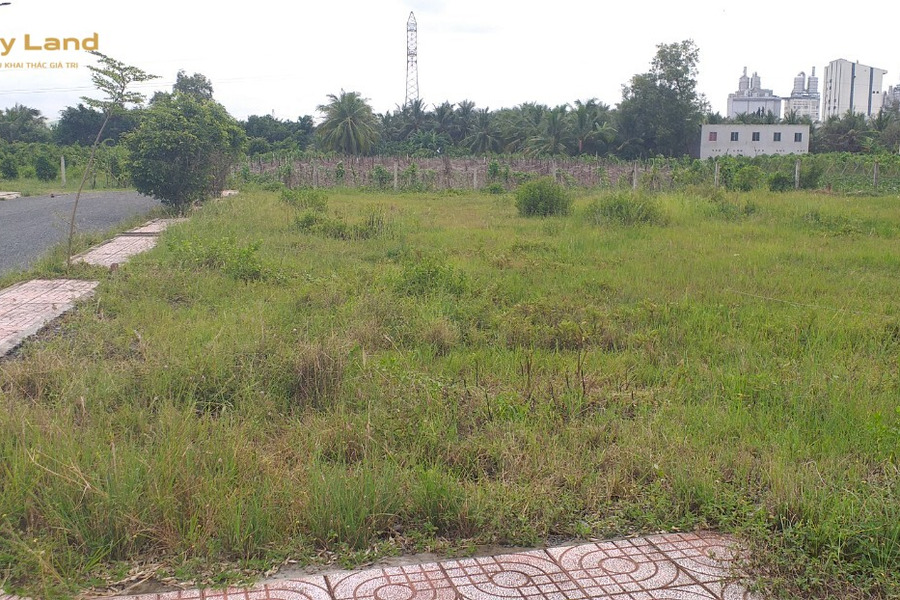 Cần bán lô đất mặt tiền, nằm gần khu công nghiệp Tân Hương, cách Quốc lộ 1A khoảng 500m-01