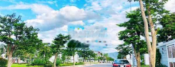 Nguyễn Du, Đà Lạt bán đất giá bán siêu ưu đãi 300 triệu diện tích đúng với trên ảnh 200m2-03