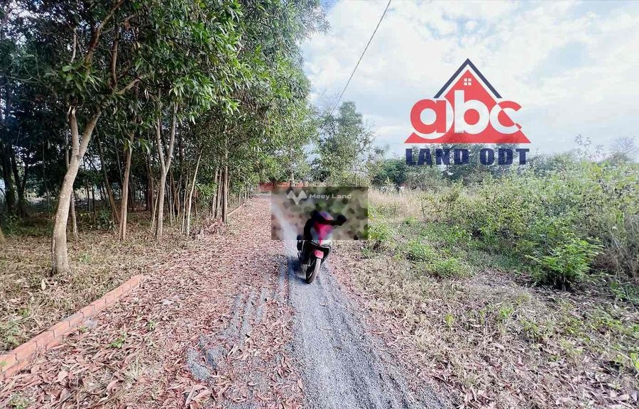 Ở Trảng Bom, Đồng Nai bán đất 450 triệu diện tích chuẩn 119m2-01