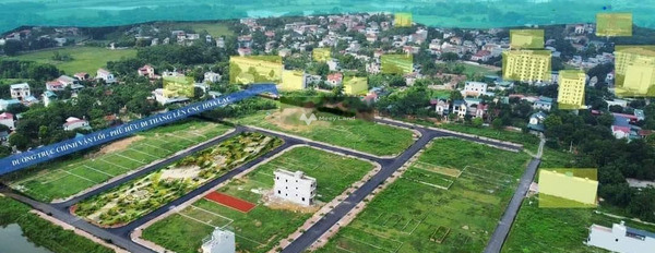 Bán đất tại Bình Yên, Hà Nội. Diện tích 300m2-02