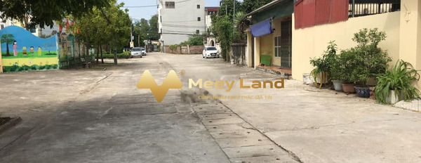 Huyện Thanh Trì, Hà Nội bán đất giá thương lượng 3.45 tỷ dt là 60m2-02