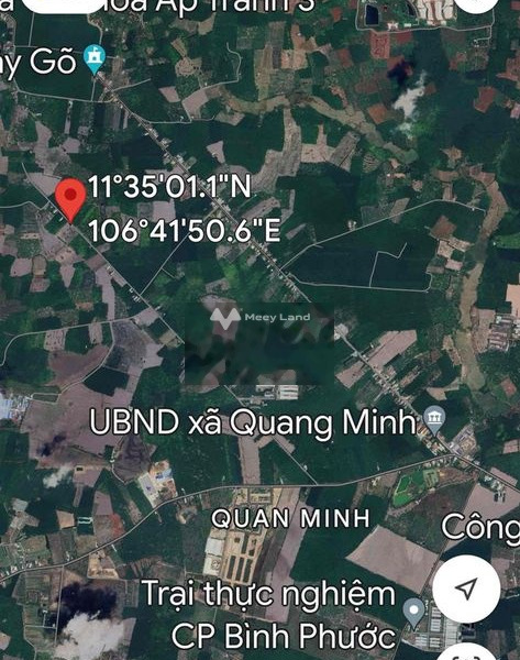 Bận kinh doanh cần bán mảnh đất, 2650m2 giá bán siêu rẻ chỉ 880 triệu vị trí mặt tiền gần Quang Minh, Chơn Thành, hướng Đông Nam giá rẻ bất ngờ-01