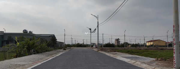 Bán đất vị trí mặt tiền ngay Đường N2, Hà Nam. Diện tích 119m2-03