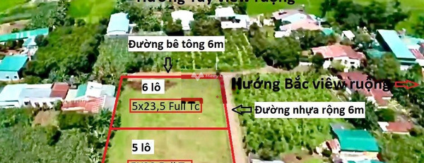 Vị trí thuận tiện Yên Thế, Gia Lai bán đất giá bán thỏa thuận từ 520 triệu diện tích dài 1175m2-03