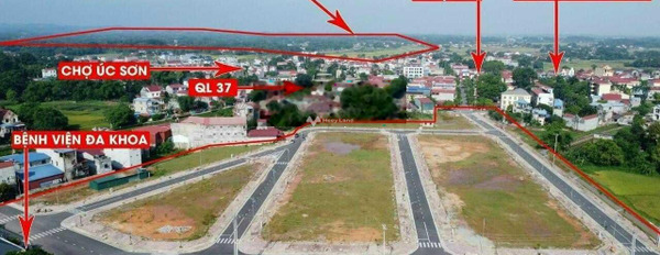 Bán đất tổng diện tích 100m2 vị trí tiện lợi Phú Bình, Thái Nguyên-03