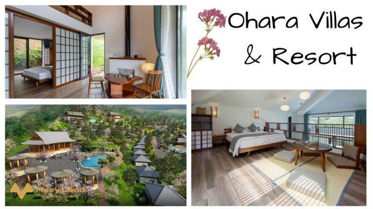 Cho thuê phòng tại Ohara Villas & Resort