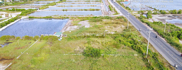 Hàm Thuận Nam, Bình Thuận bán đất diện tích trong khoảng 1003m2-02