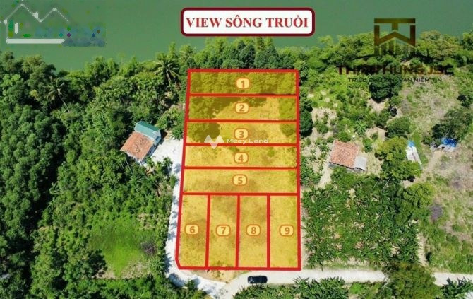 Bán đất 480 triệu Lộc Hòa, Phú Lộc có diện tích tổng là 227m2, ngõ đi rộng 4 mét-01