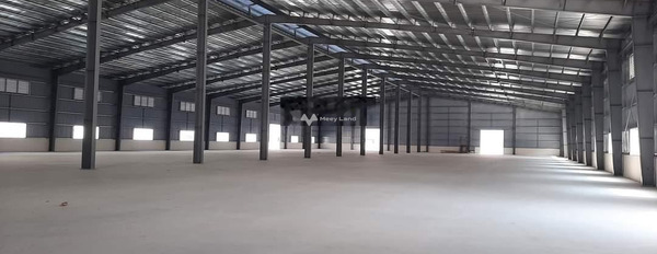 Nằm ngay trên Vân Trung, Việt Yên cho thuê kho bãi 1600m2 giá thuê cực tốt 113.6 triệu/tháng pháp lý rõ ràng-02