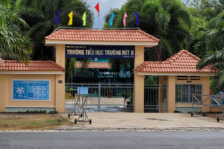 Bán lô 154m2 giá 450 triệu tại Truông Mít, Dương Minh Châu, kế trường Tiểu Học Thuận Bình-01