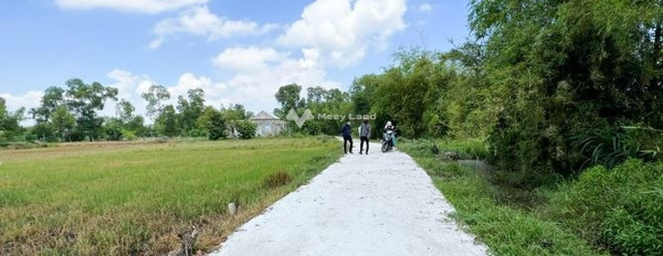Bán đất 310 triệu Phú Vang, Thừa Thiên Huế diện tích chuẩn 103m2, với bề ngang đường 3 mét-02