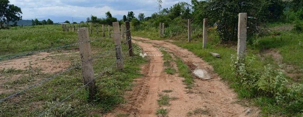 Hồng Liêm, Bình Thuận 312 triệu bán đất diện tích sàn là 1200m2-02