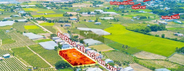 Tại Đường 17/4, Bình Thuận bán đất 700 triệu, hướng Nam diện tích chính là 122m2-03