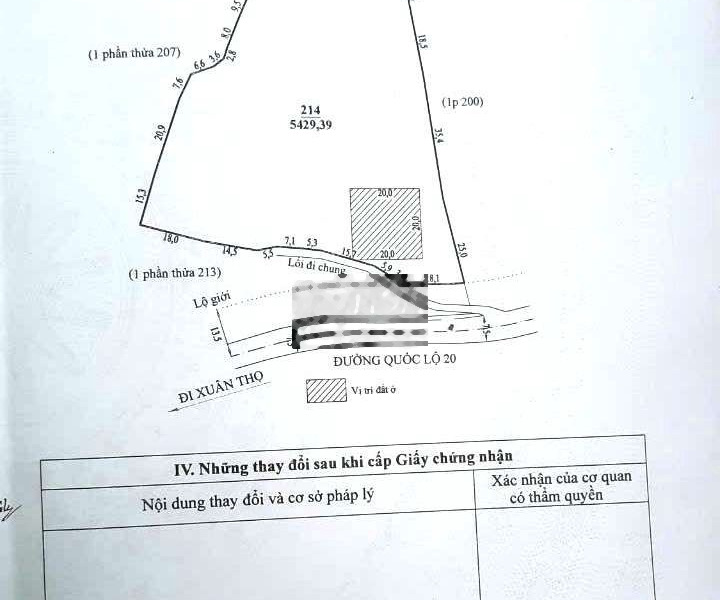 BÁN LÔ ĐẤT 5.400M MẶT TIỀN Q.LỘ 20 XÃ XUÂN TRƯỜNG VIEW RỪNG THÔNG -01