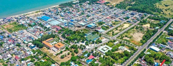 Giá thị trường 2.5 tỷ, Bán đất với diện tích khoảng 100m2 tọa lạc ngay trên Phước Hải, Đất Đỏ vị trí thuận lợi-03
