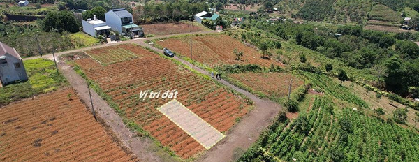 Đất View đẹp Phường 2, Bảo Lộc. Vị trí hiếm có -02