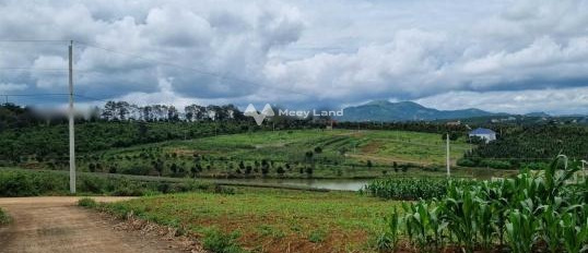 Cần gấp bán mảnh đất, 280m2 giá bán thương lượng 1.3 tỷ vị trí hấp dẫn nằm ở Di Linh, Lâm Đồng liên hệ liền-02