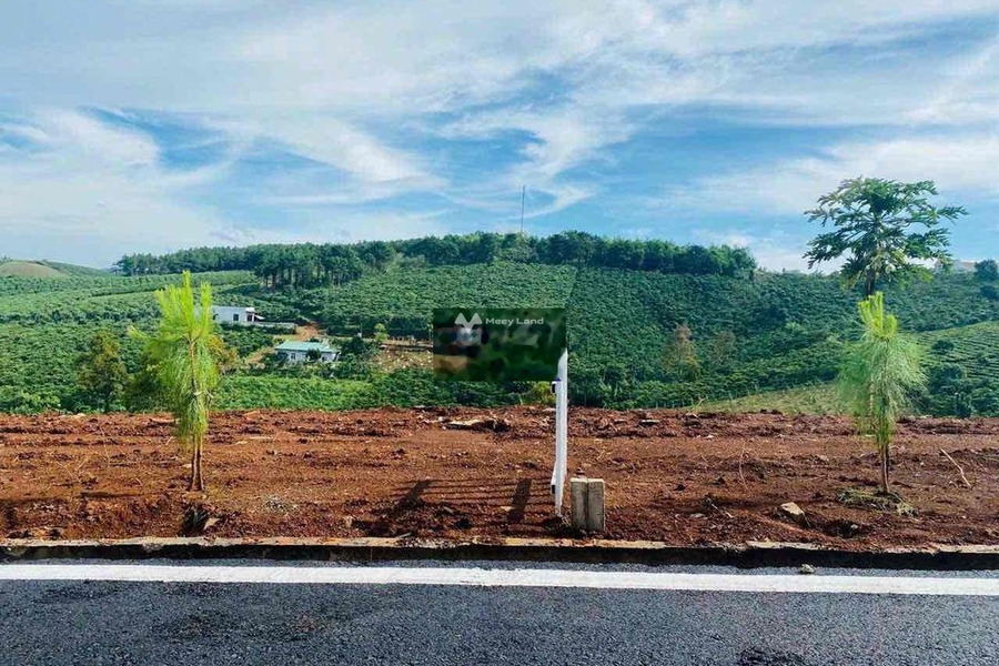 Nằm tại Lộc Ngãi, Bảo Lâm bán đất 1.2 tỷ có diện tích thực 739m2-01