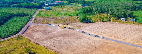 Bán đất tại Phước Bình, Long Thành, giá 4,55 tỷ, diện tích 2219m2-03